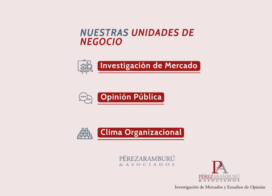 IMG Consultora de Opinión Pública e Investigación de Mercado Pérez Aramburú & Asociados